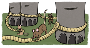 The Mice and the Elephants